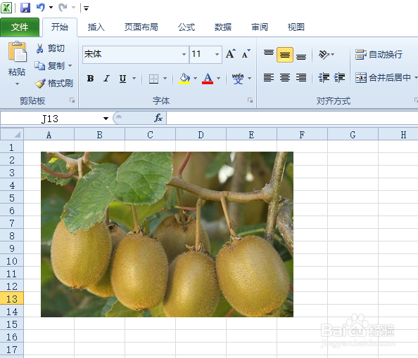 excel2010如何将图片设置成浅色屏幕效果