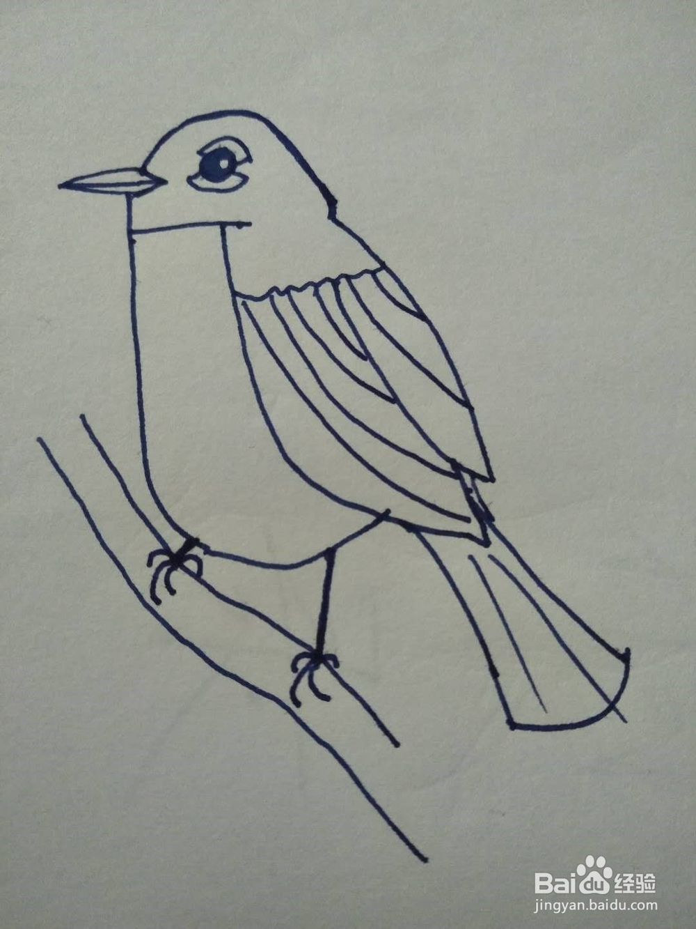 小鸟的简笔画怎么画？