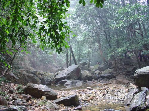 在广东看落霞与仙鹤齐飞舞