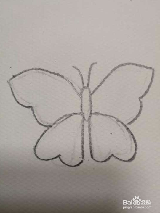 简笔画彩色的蝴蝶怎么画