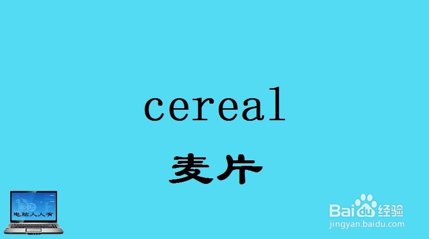 西式主食相关英语单词