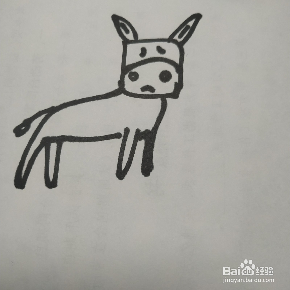 毛驴的简笔画技法2