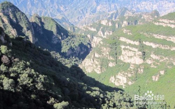 旅游时灌木林穿越知识