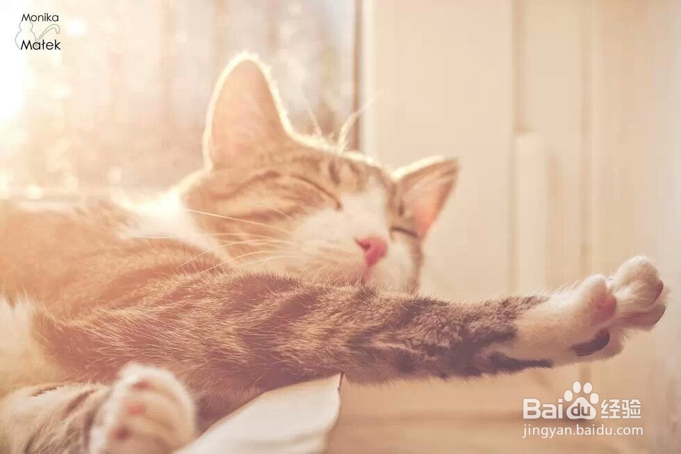 如何和心仪的人相处：[2]男森篇