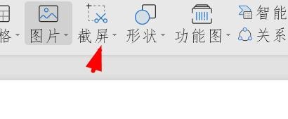 wps文字文档怎么进行屏幕截图