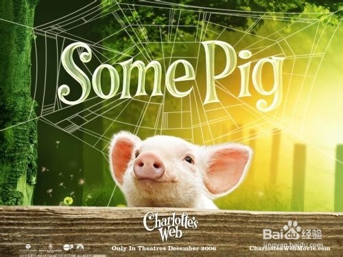 怎么让中学生爱上英语