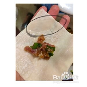鲜肉小馄饨的做法