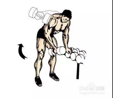 只需一对哑铃,在家锻炼全身肌肉!