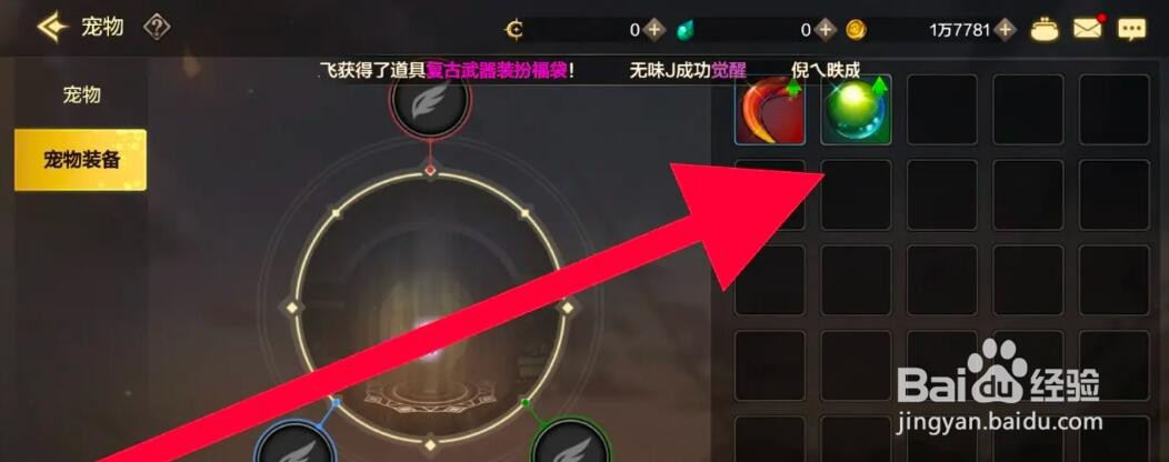 DNF手游佩戴宠物装备的方法