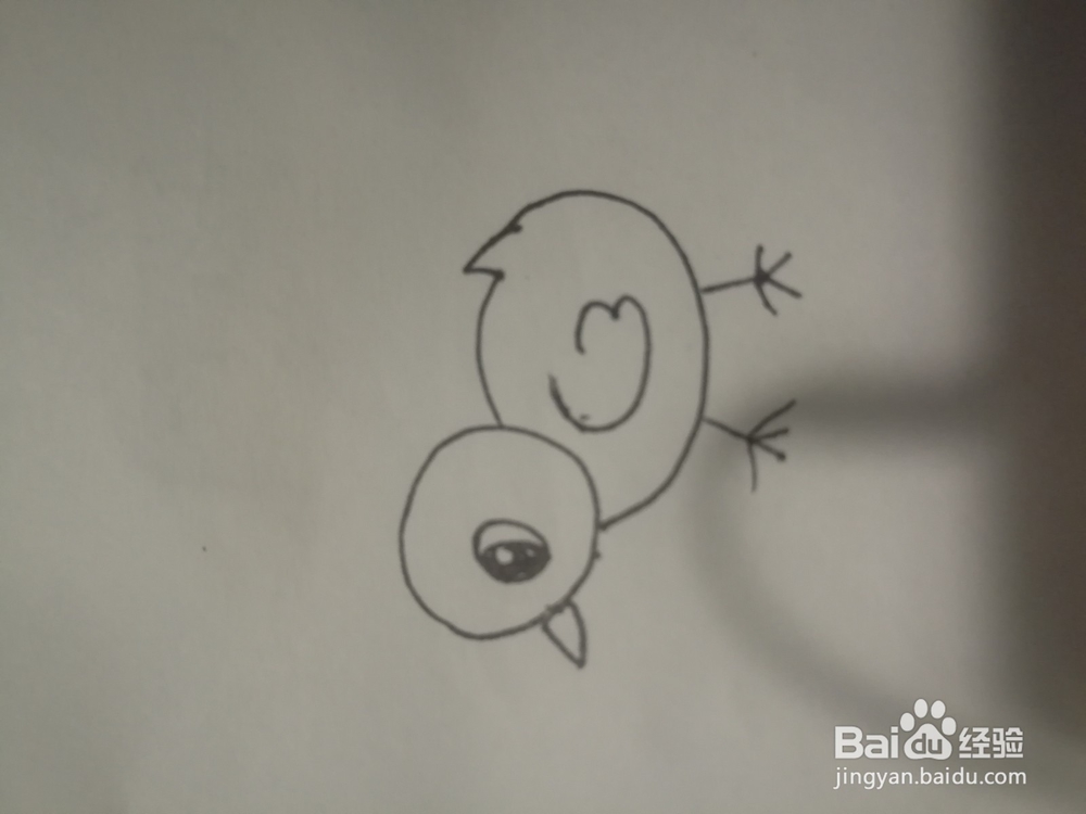 一只小鸡的简笔画