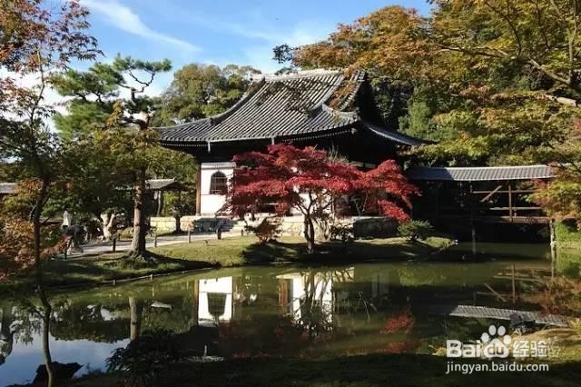 新西兰自由行全攻略