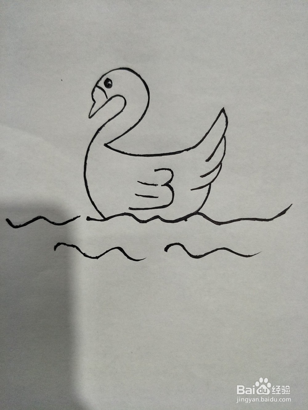 简笔画——快速画鹅简单画一只大白鹅
