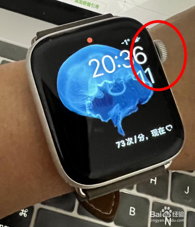 苹果手表怎么测心率
