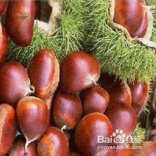 淮山药的功效以及用法