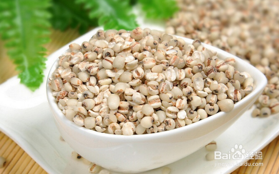薏米的养生功效有哪些