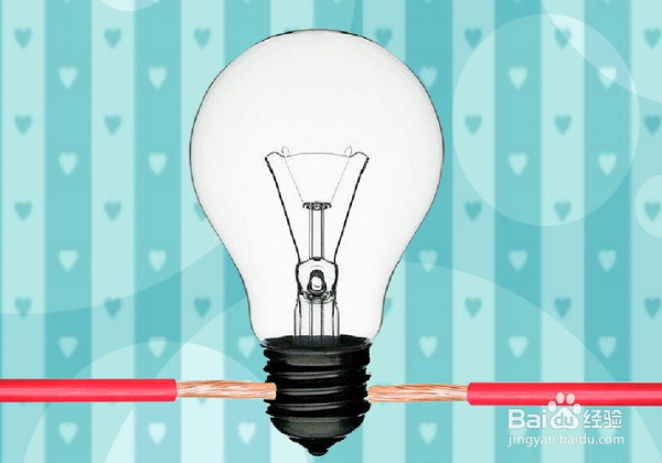 nl哪个是火线哪个是零线