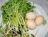 豆苗怎么做?