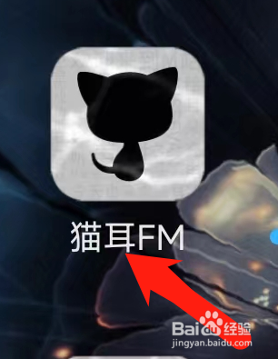 猫耳FM进行主题切换
