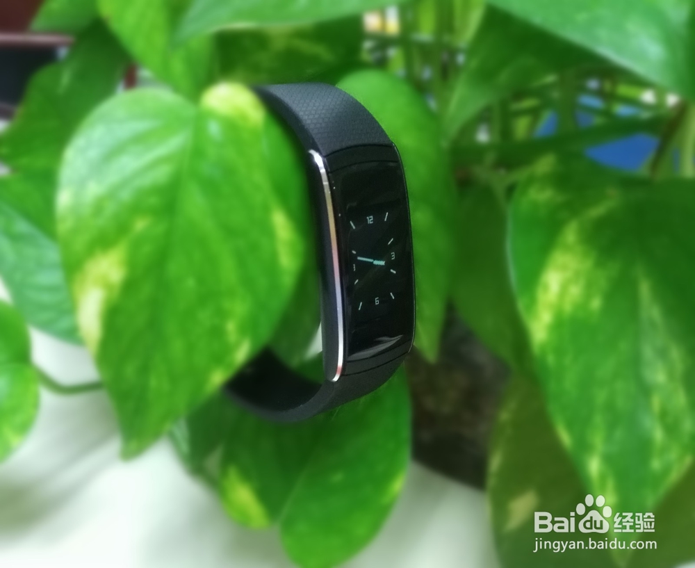 埃微高颜值蛋卷心率手环开箱晒物