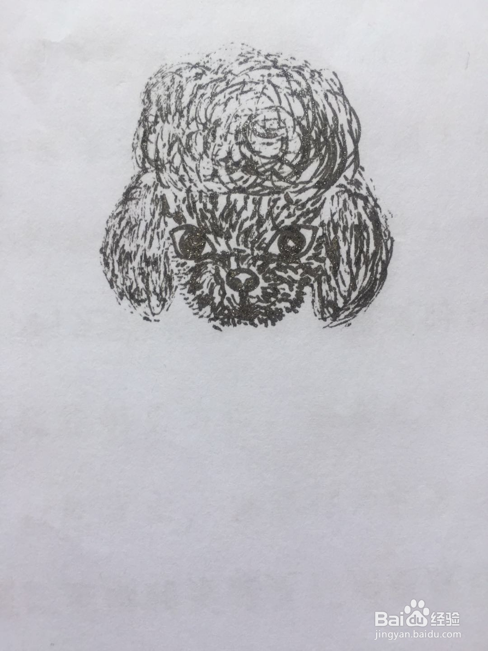 dxdll手绘之喝饮料的泰迪