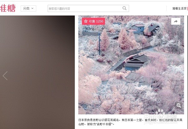 怎么将网页上的图片保存下载到电脑