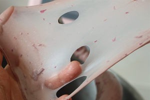 红酒玫瑰吐司攻略