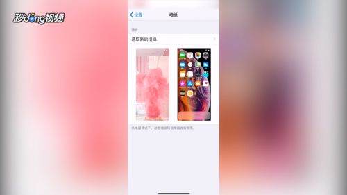 iphonexs动态壁纸如何设置 百度经验