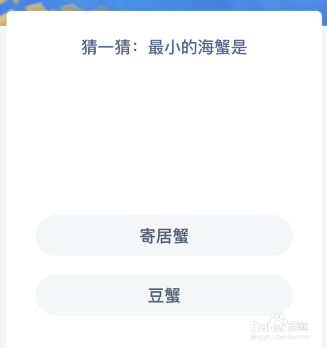 神奇海洋猜一猜最小的海蟹是