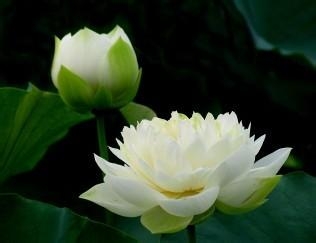 英语四六级阅读理解高分突破技巧