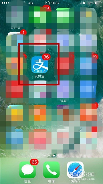 支付宝怎么查车辆违章信息