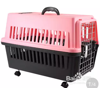 火车可以托运狗