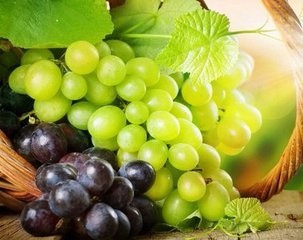 哪些食物能补血