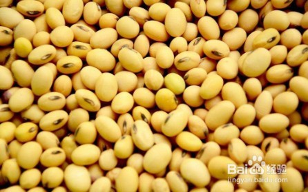 如何从大豆中提取油脂