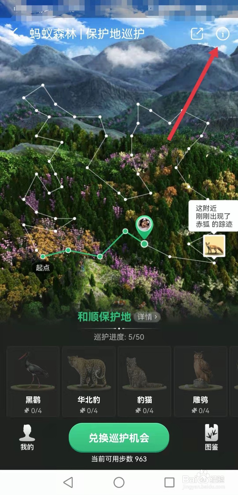 豹子的粪便怎么分辨蚂蚁森林