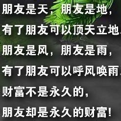 怎么找删掉的好友？