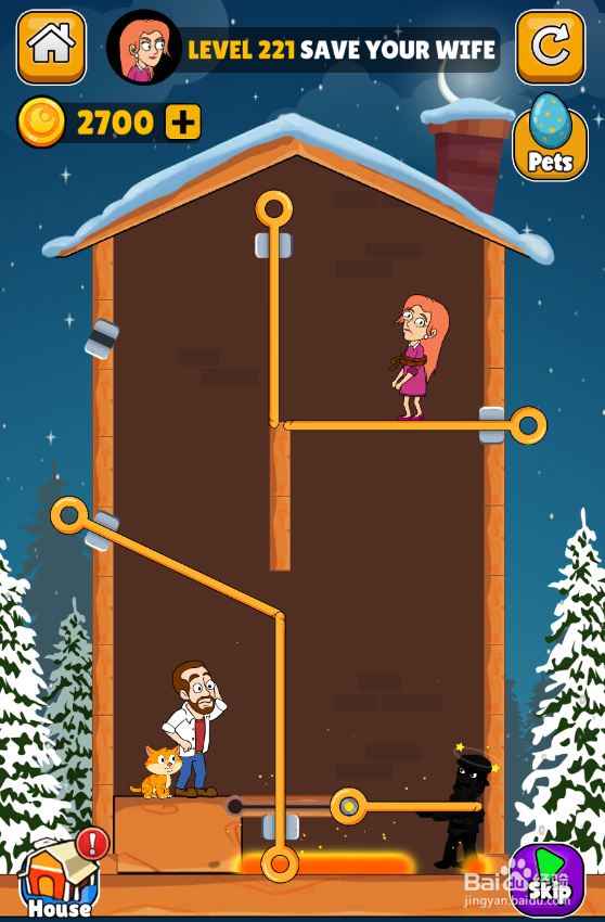 Home Pin的Level 221怎样通关