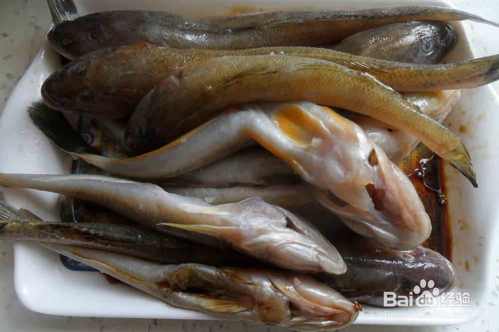 怎么做狗光鱼完整不碎