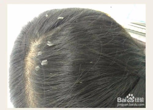 怎样区分含硅油/无硅油洗发水?