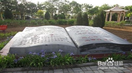 家长该怎么帮助孩子选择学校？