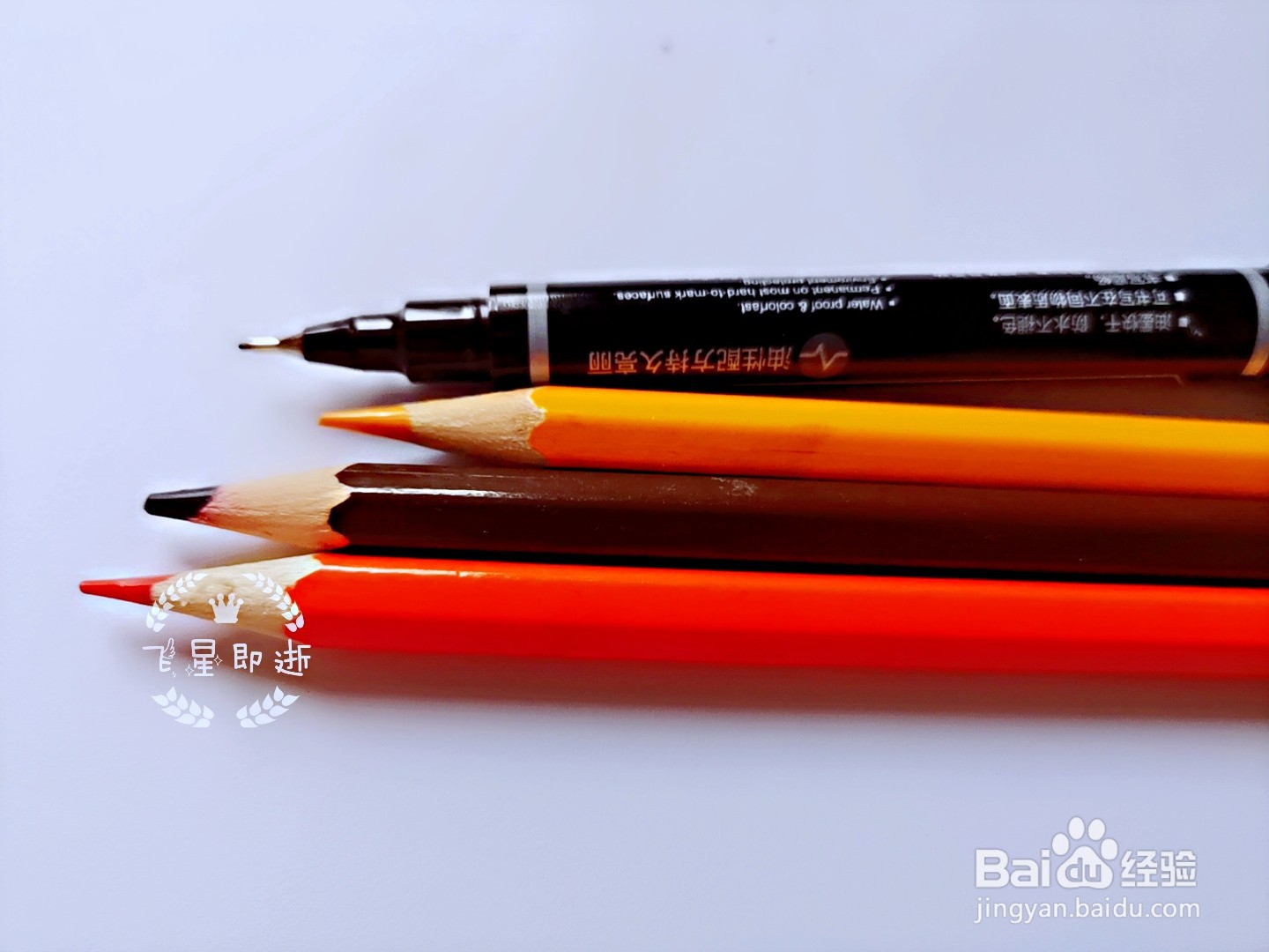 儿童简笔画 如何画一只狮子