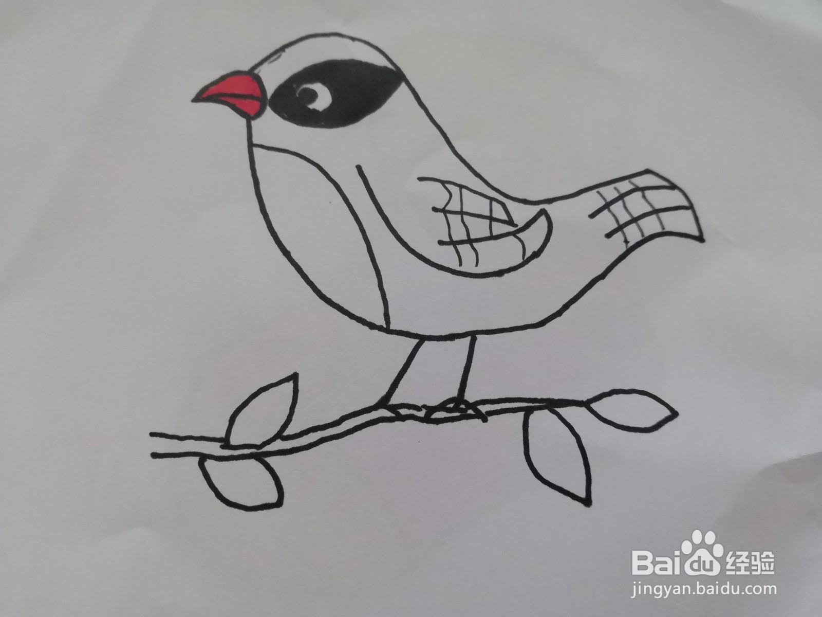 可爱的黄鹂鸟画法