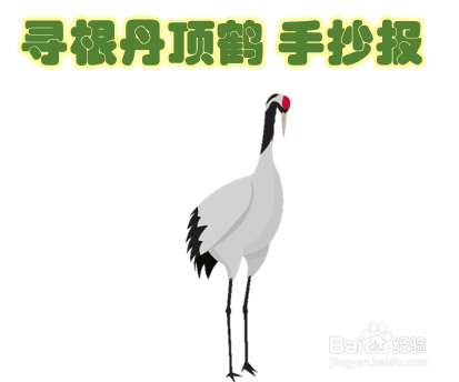 寻根丹顶鹤手抄报