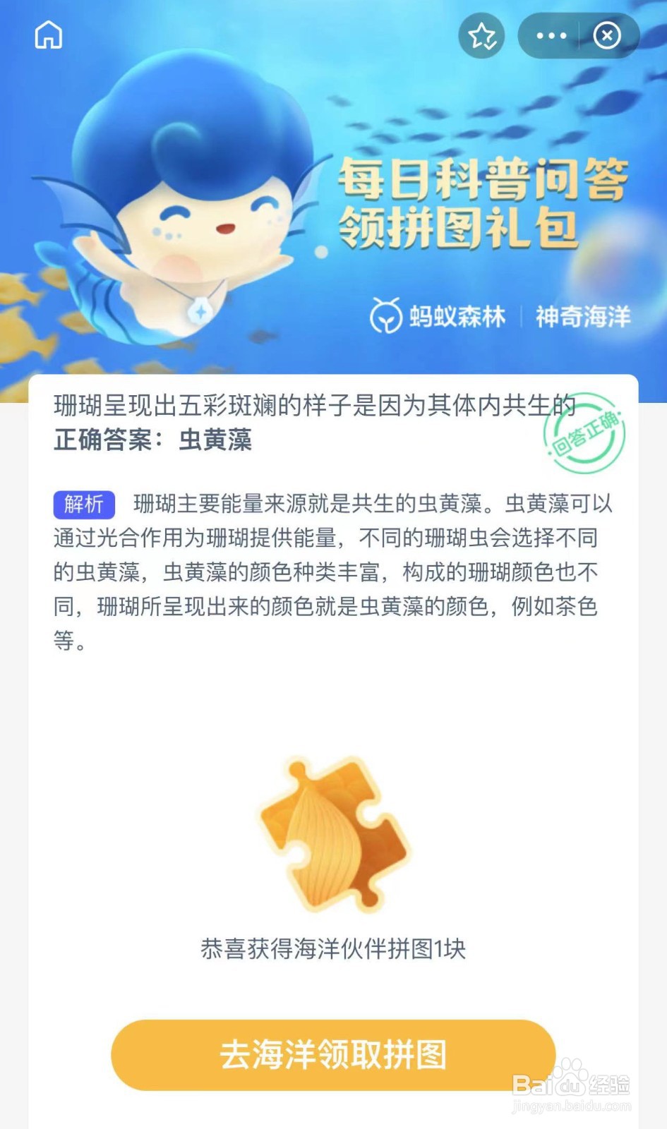 瑚呈现出五彩斑斓的样子因为其体内共生神奇海洋