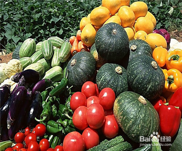 午餐吃哪些食物才算健康的饮食