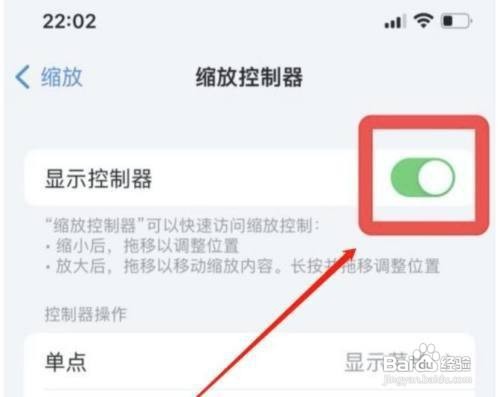 苹果11Pro手机然后设置开启显示控制器呢