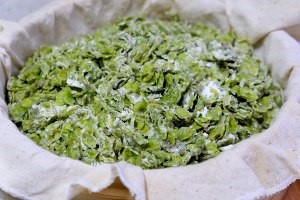 蒸榆钱的简易做法