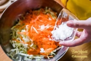 教你怎么做卷心菜沙拉