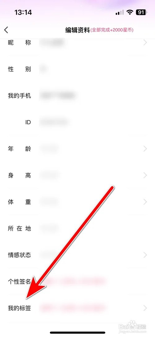 星动直播如何添加我的标签