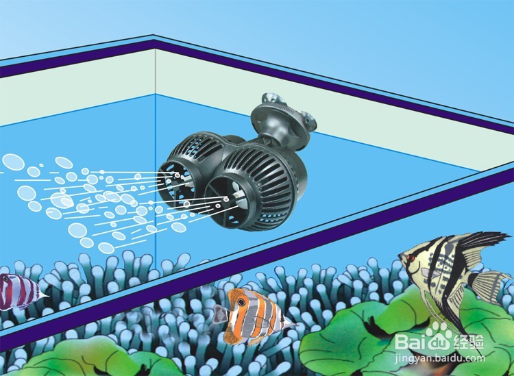 如何方便高效的清洁大鱼缸