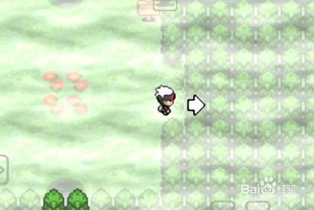 究极绿宝石5迷途之森怎么走